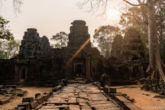 2019-03-15_angkor022