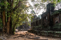 2019-03-15_angkor023