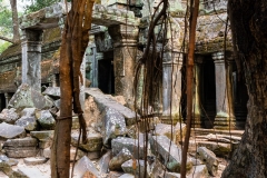 2019-03-15_angkor028