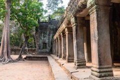 2019-03-15_angkor031