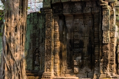 2019-03-15_angkor032