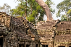 2019-03-15_angkor033