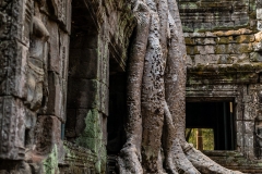 2019-03-15_angkor034