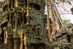 2019-03-15_angkor039