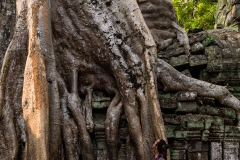 2019-03-15_angkor040