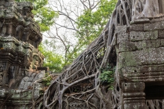 2019-03-15_angkor047