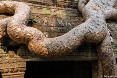 2019-03-15_angkor048