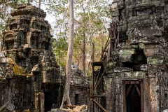 2019-03-15_angkor056