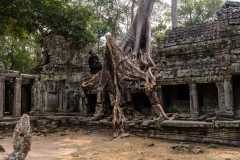 2019-03-15_angkor070