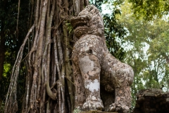 2019-03-15_angkor071