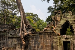 2019-03-15_angkor072