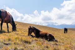 2018-09-14_karakol-5